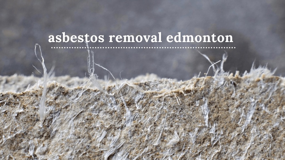 Mold Removal Company Edmonton AB