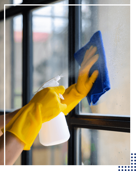 Lambs Window Cleaning and Lawn Care provide  Residential Window Cleaning Services throughout Winnipeg