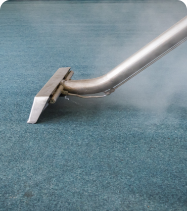Unlock Professional Carpet and Upholstery Services in Montreal with Steam Doctor