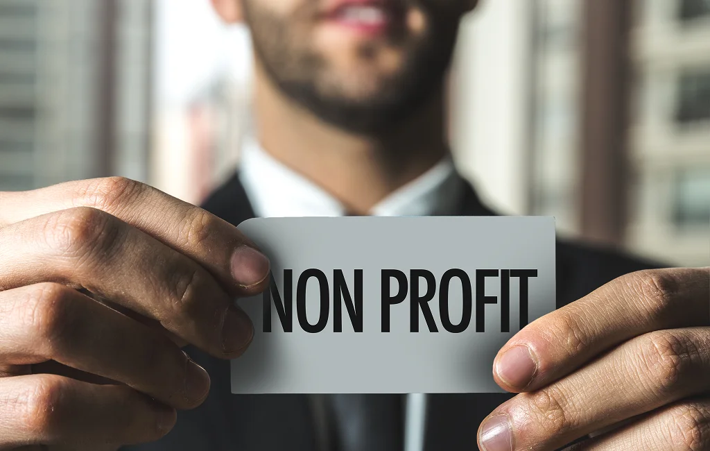 Nonprofit Consulting Services