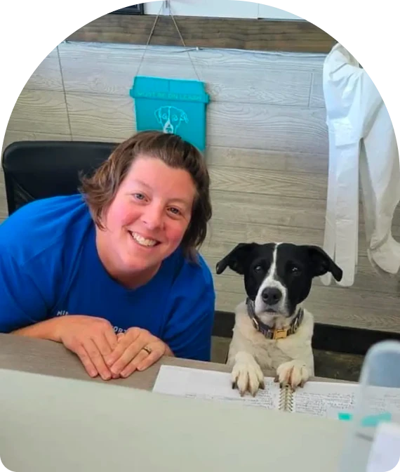 Dog Bath Services Kansas City