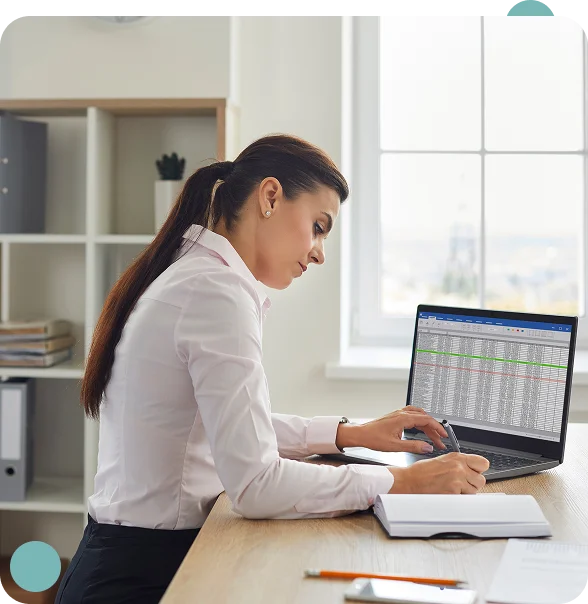 Corporate Tax Return Services Langley