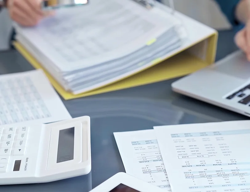 Business owner reviewing financial records with a bookkeeper