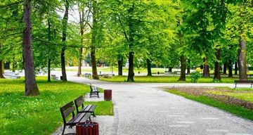 Real Estate Sales Representative Toronto
