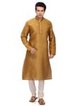 Brown Color enlightened Kurta Payjama