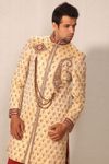 Royal Golden Sherwani BL2008