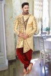 Designer Look Golden Dhoti Sherwani