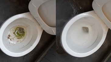 Toilet Cleaning by Affordable Cleaning Solutions, Inc. - Canton Commercial Cleaning Services