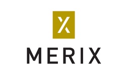 Merix - B G Financial Corp.