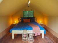 Safari Tents