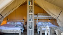 Safari Tents