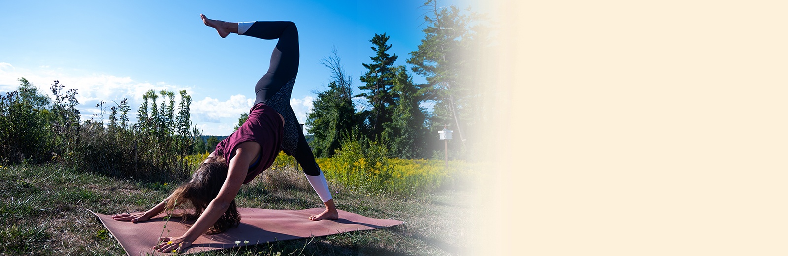 Mindfulness Teacher Niagara Region