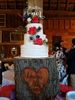 Cake-photos-(3)