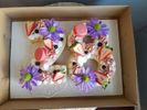 Cake-photos-(6)