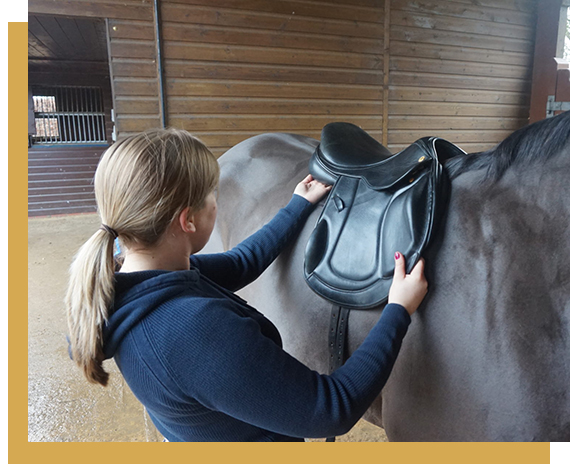 Excellent prompt service ensuring quicker response times than other Saddle Fitters in Georgina