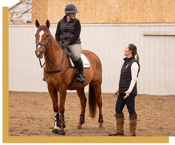 Our Personal Saddle Fitter will find the best saddle for your horse and make the necessary adjustments