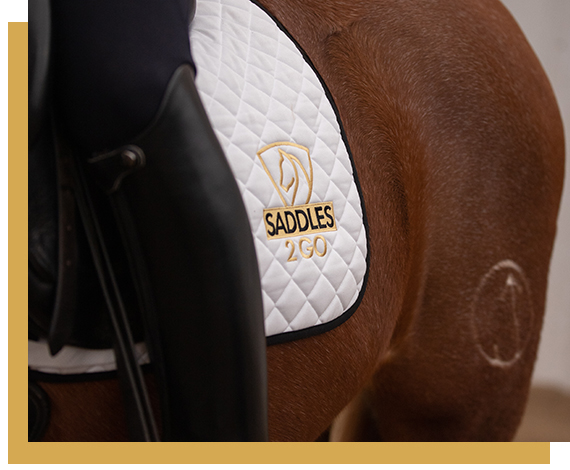 Georgina based Saddles 2 Go helps every rider find the Perfect Saddle that fits their horses