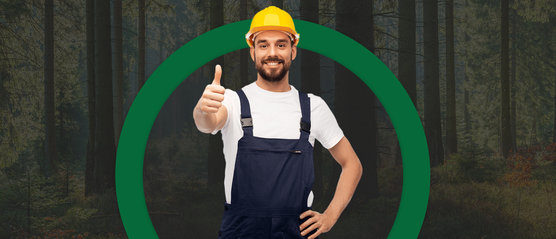 Get High Quality and Reliable Tree Services across London at affordable prices from Stumps n' Trunks