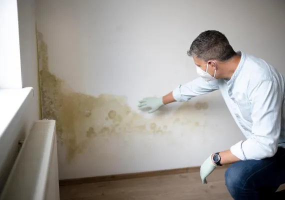 OneStop Shop offers Mould Inspection Services