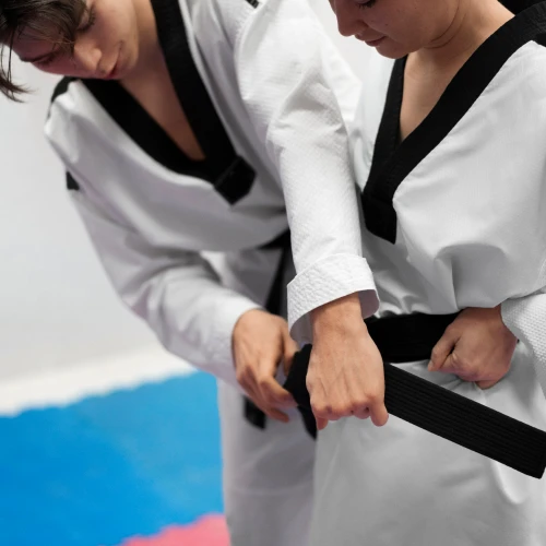 United Black Belt Professionals in White Plains, NY - gateway to a world of martial arts and self-improvement