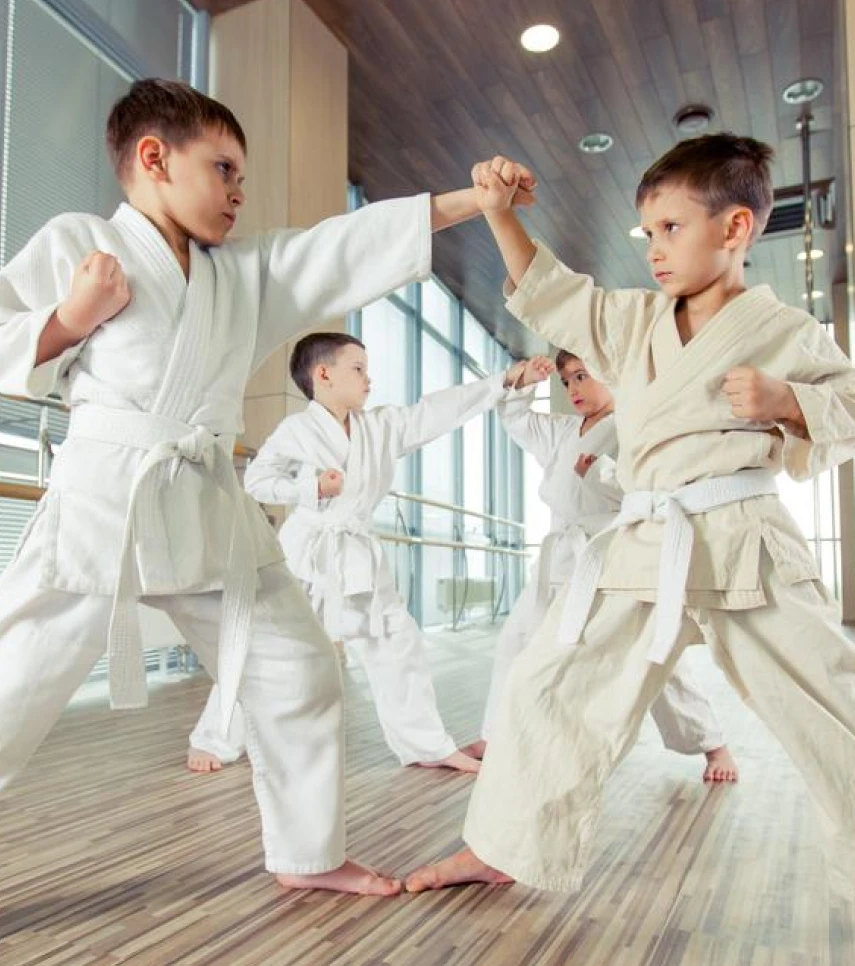 Discover the world of Martial Arts with diverse classes, including American Karate by United Black Belt Professionals