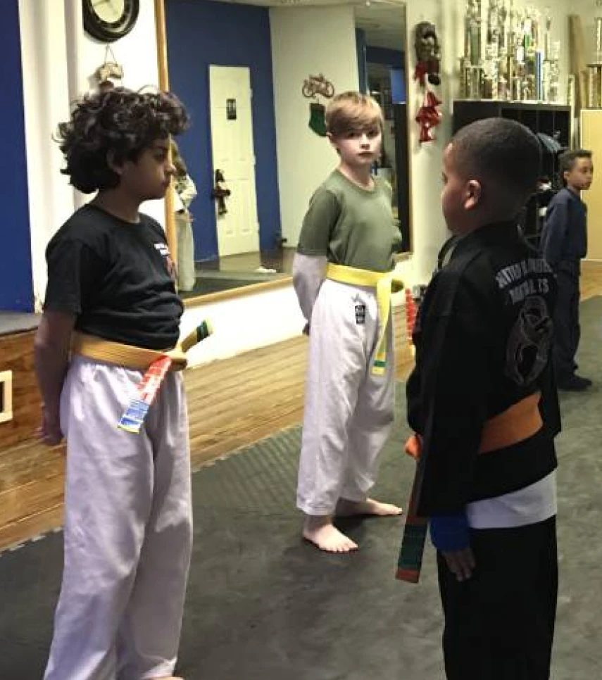 Ensure your child's safety and academic success with After School Program by United Black Belt Professionals