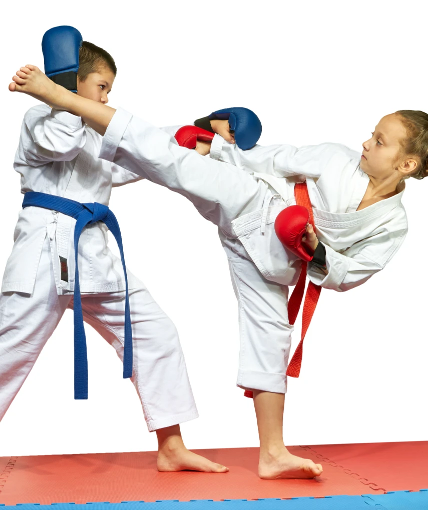 American Karate, K One Kickboxing and MMA Classes by United Black Belt Professionals