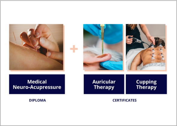 Explore the possibilities of advanced healing through our Medical Neuro Acupressure Diploma program