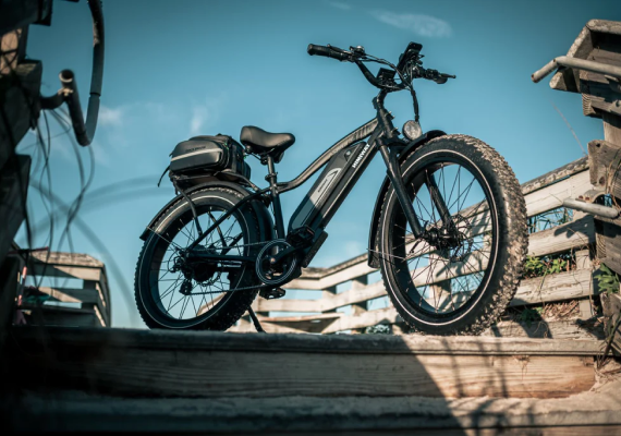 We offer a wide range of top-quality eBikes and premium Accessories to elevate your riding experience