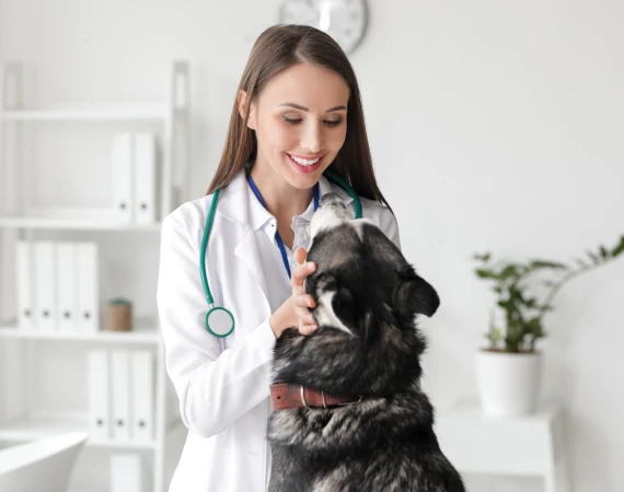 At Medical Biowaste Solutions, Inc. we offer excellence in Waste Disposal for veterinary hospitals