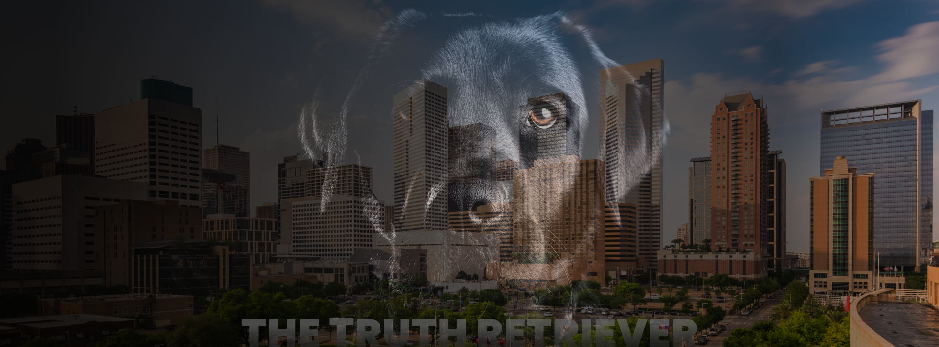 Black Dog Forensics offers Digital Forensic and Case Consultation Services in Houston, Texas