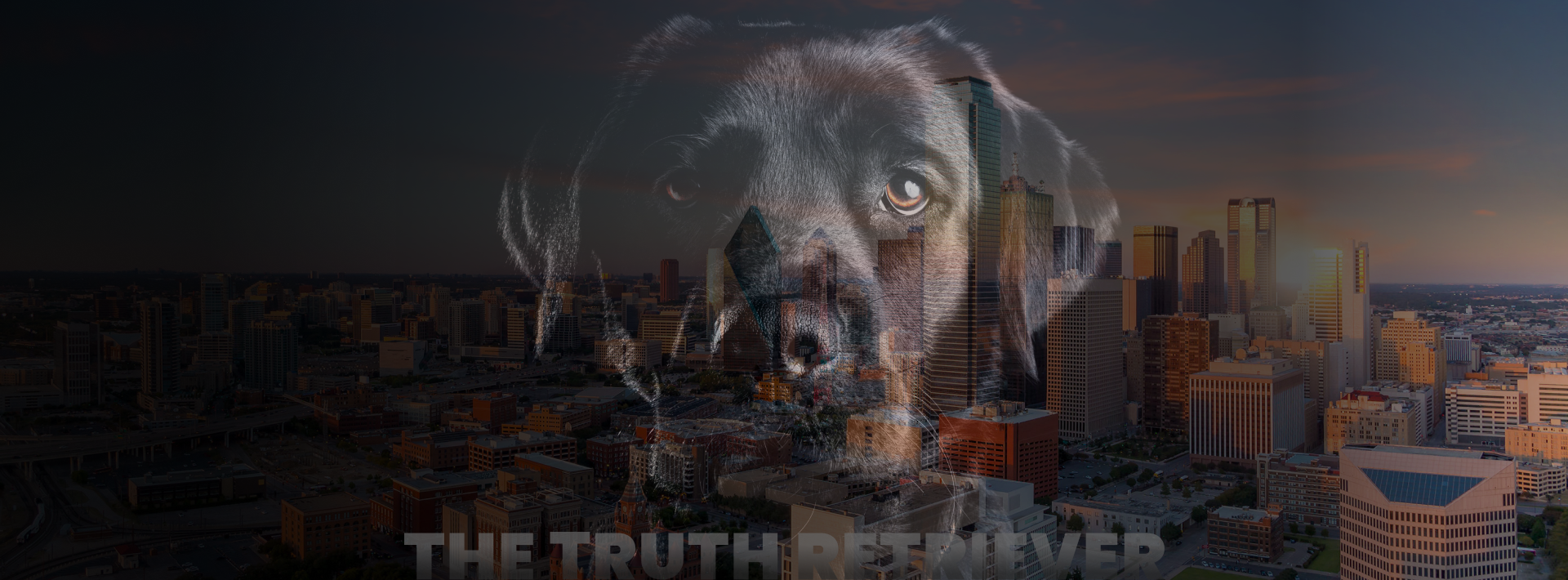 Experience comprehensive and expert Digital Forensic Services in Dallas, by Black Dog Forensics