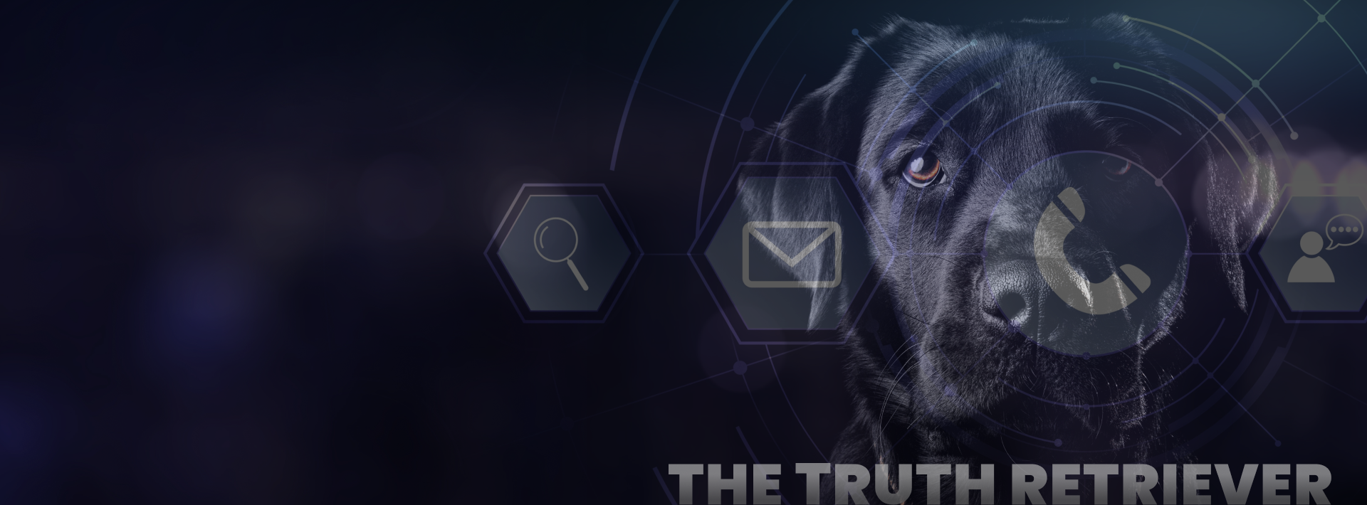 Get in touch with Black Dog Forensics, your trusted Digital Forensic Company in Texas