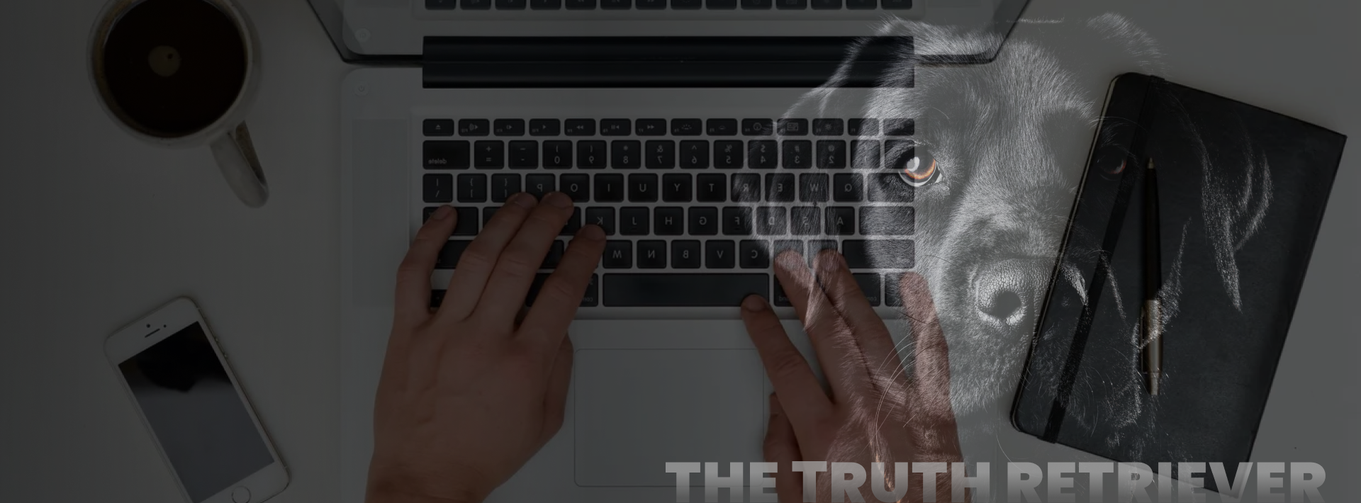 Black Dog Forensics is your trusted partner in retrieving the truth through Digital Forensics in Texas