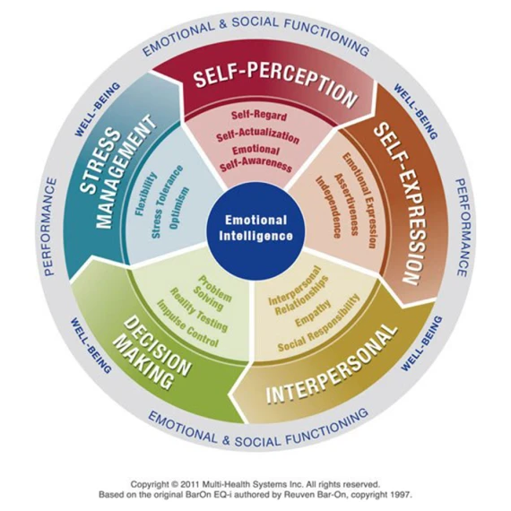 EverAspire Coaching specializes in sessions dedicated to developing Emotional Intelligence