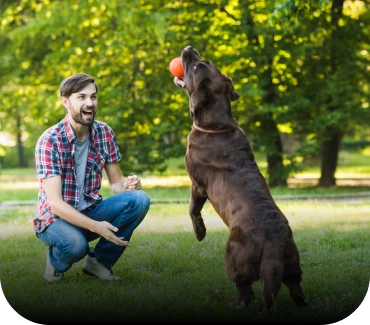 At All About Dogs Training Center, we specialize in professional Dog Training services in Grass Valley