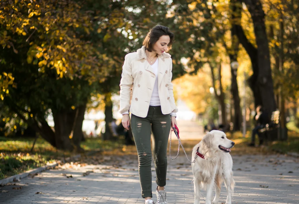 Pricing Pet Sitting Care Cost In Denver Pop In Cat Visits