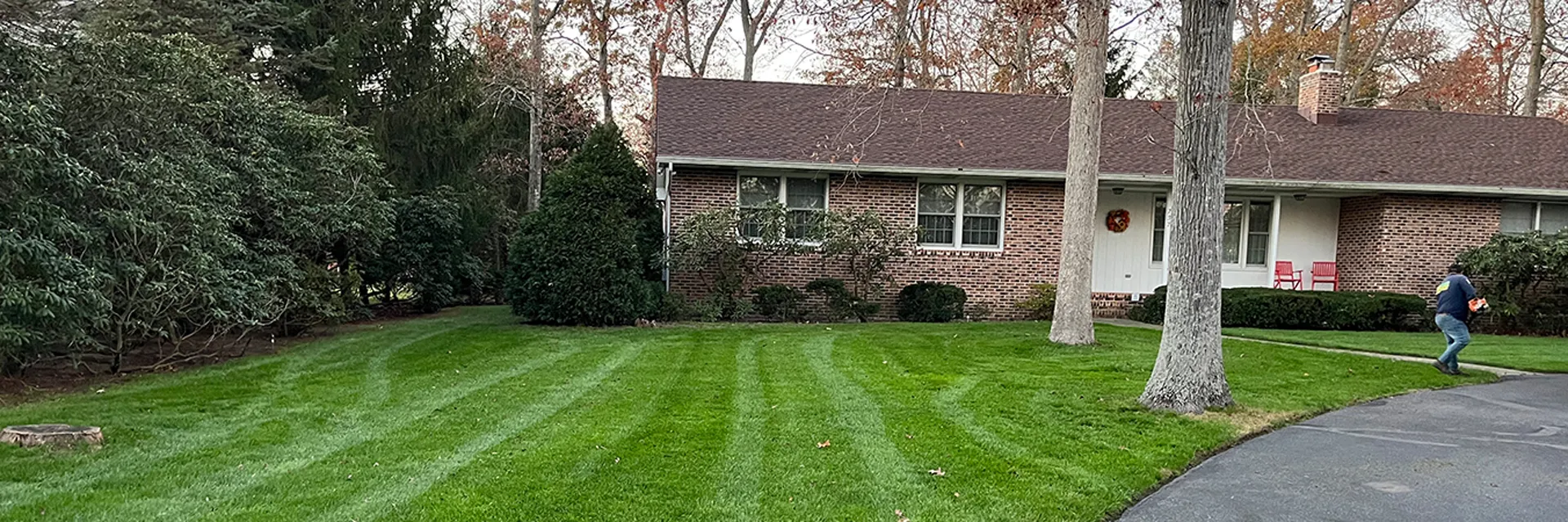 landscaping tree service company pleasantville New Jersey