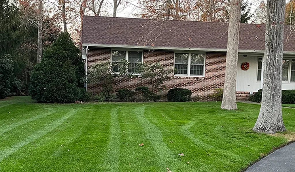 landscaping tree service company pleasantville New Jersey