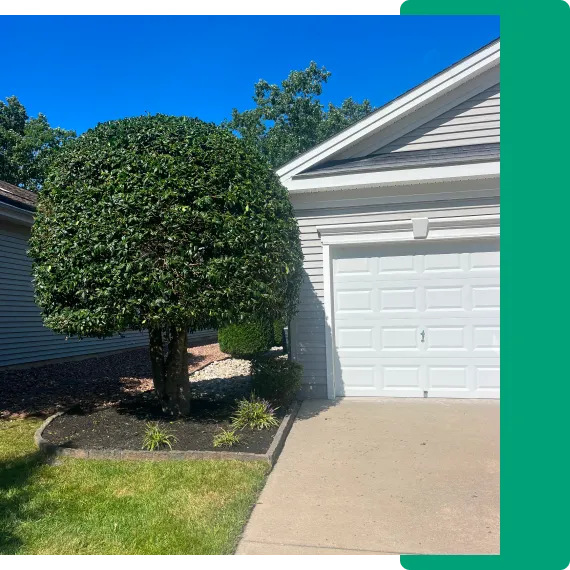 landscaping tree service company pleasantville New Jersey