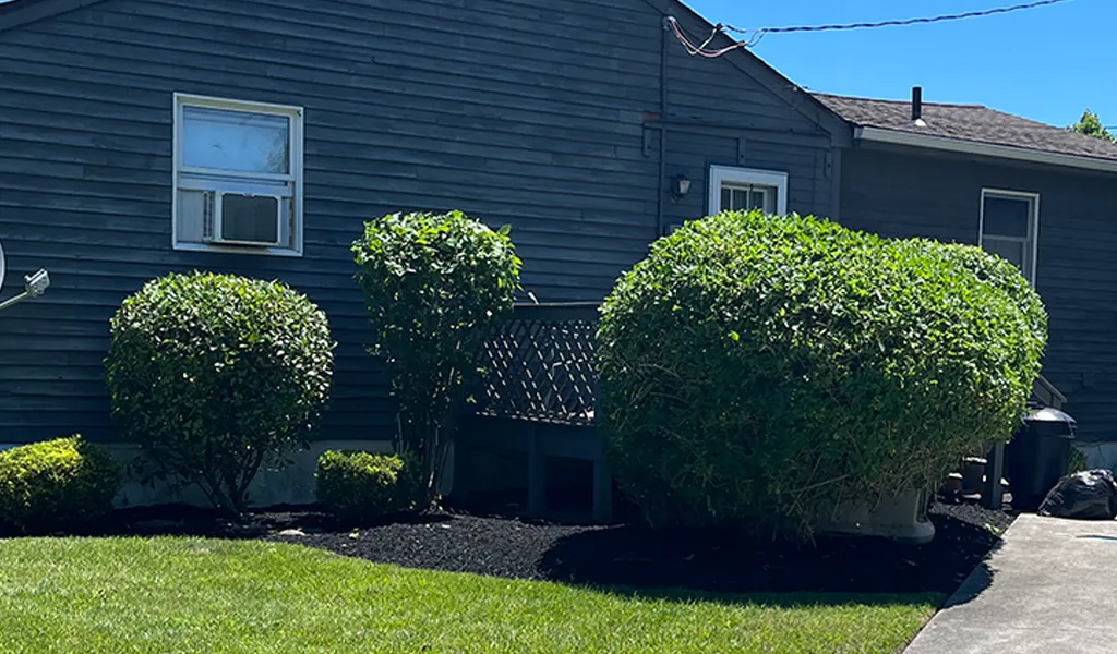 landscaping tree service company pleasantville New Jersey