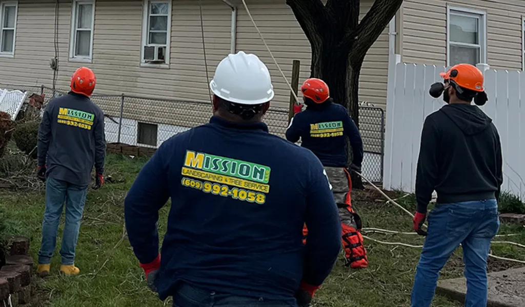 about landscaping tree service company pleasantville new jersey