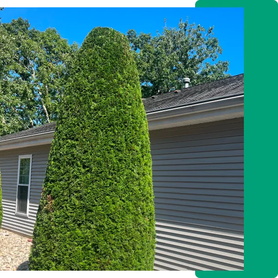 landscaping tree service company pleasantville new jersey