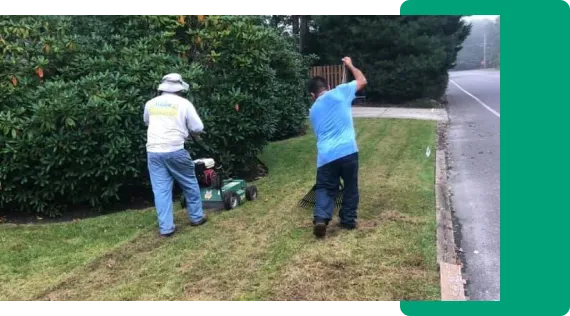 landscaping tree service company pleasantville new jersey