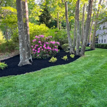 landscaping tree service company pleasantville New Jersey