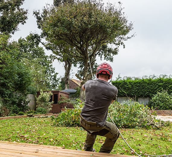 Secure and Beautify Your Landscape