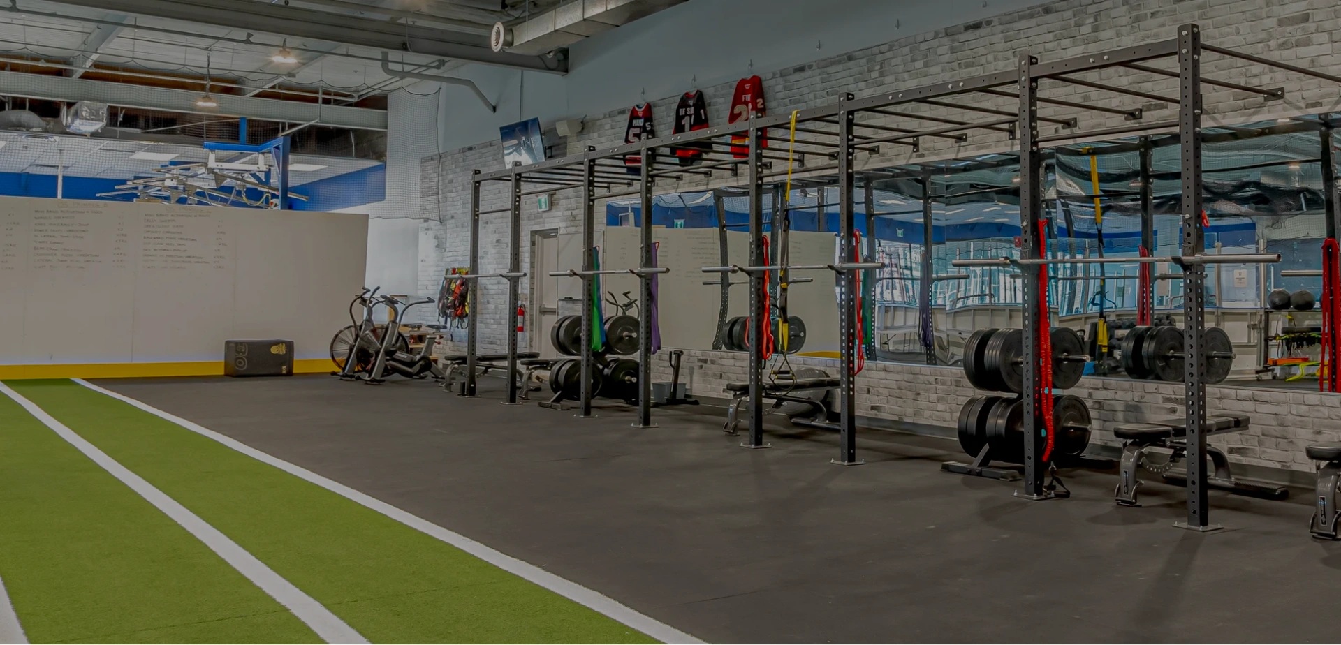 Hockey Dryland Training