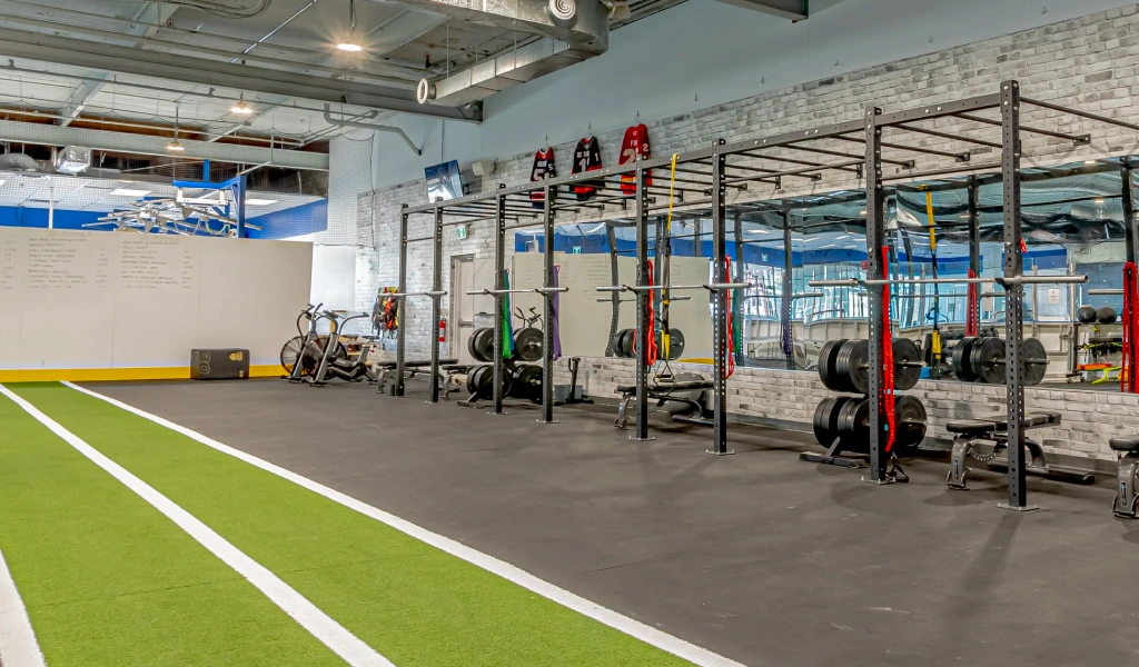 Hockey Dryland Training