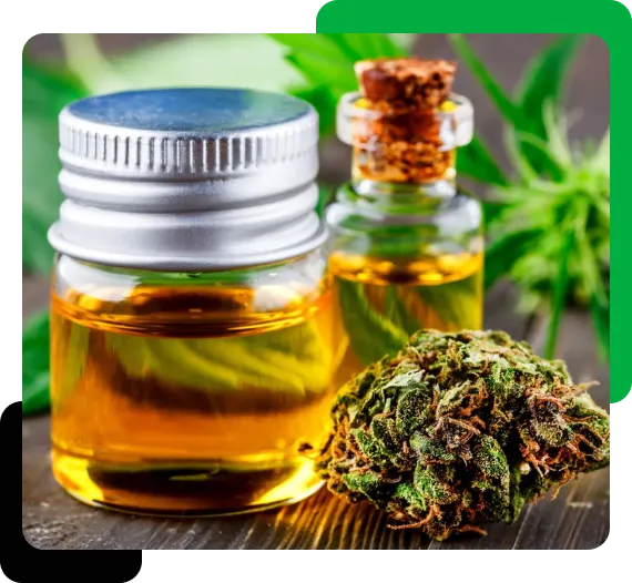 Medicinal Cannabis Directory