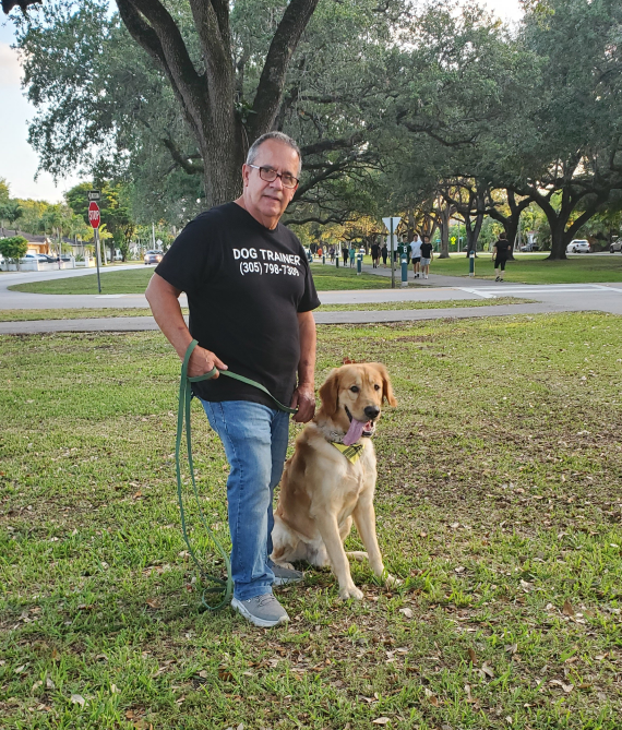 Dog Trainers Miami